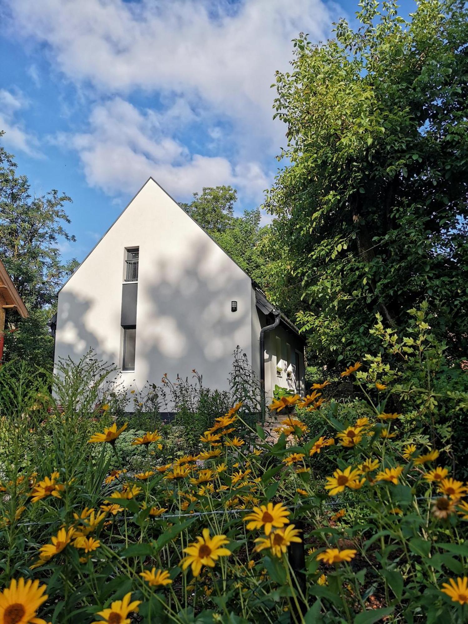 Vila Voelgy25 Zebegény Exteriér fotografie